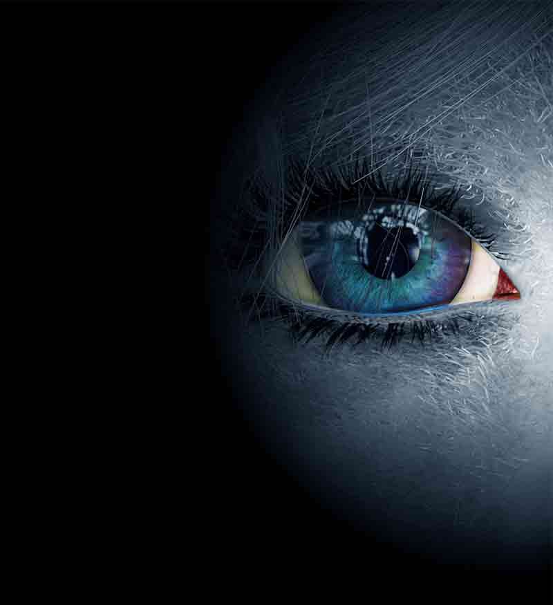 Crow: The Awakening by author Michael J. Vanecek - large feature image