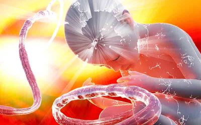 Chapter 1: Crow ~ The Outcast